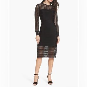 french connection joss knit dress NWT French Connection Babysoft Joss Knit